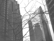 Toronto